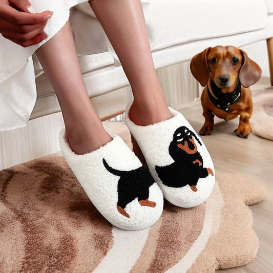 Dachshund slippers